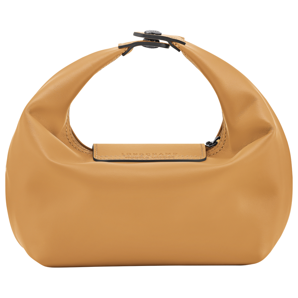 Le Pliage Xtra XS Mini Leather Handbag Honey