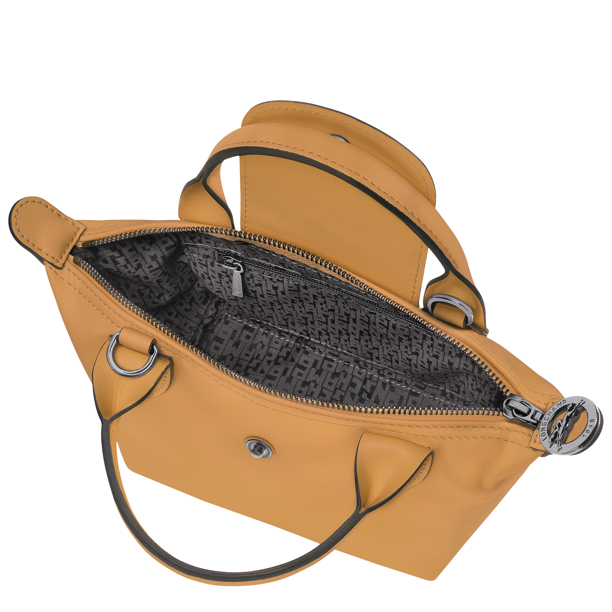 Le Pliage Xtra XS Leather Handbag Honey