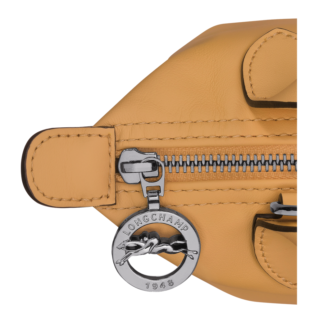 Le Pliage Xtra XS Leather Handbag Honey