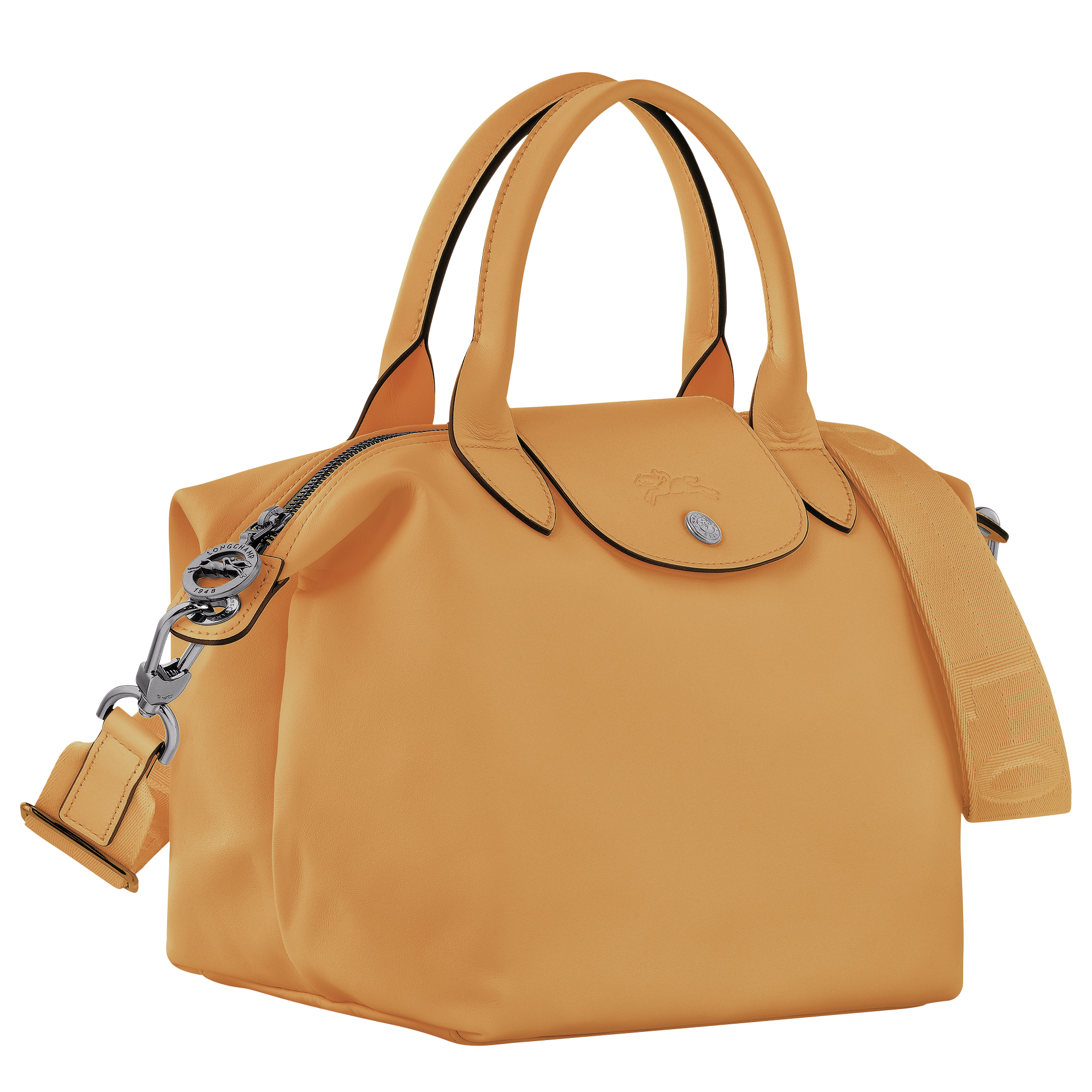 Le Pliage Xtra Small Leather Handbag Bal