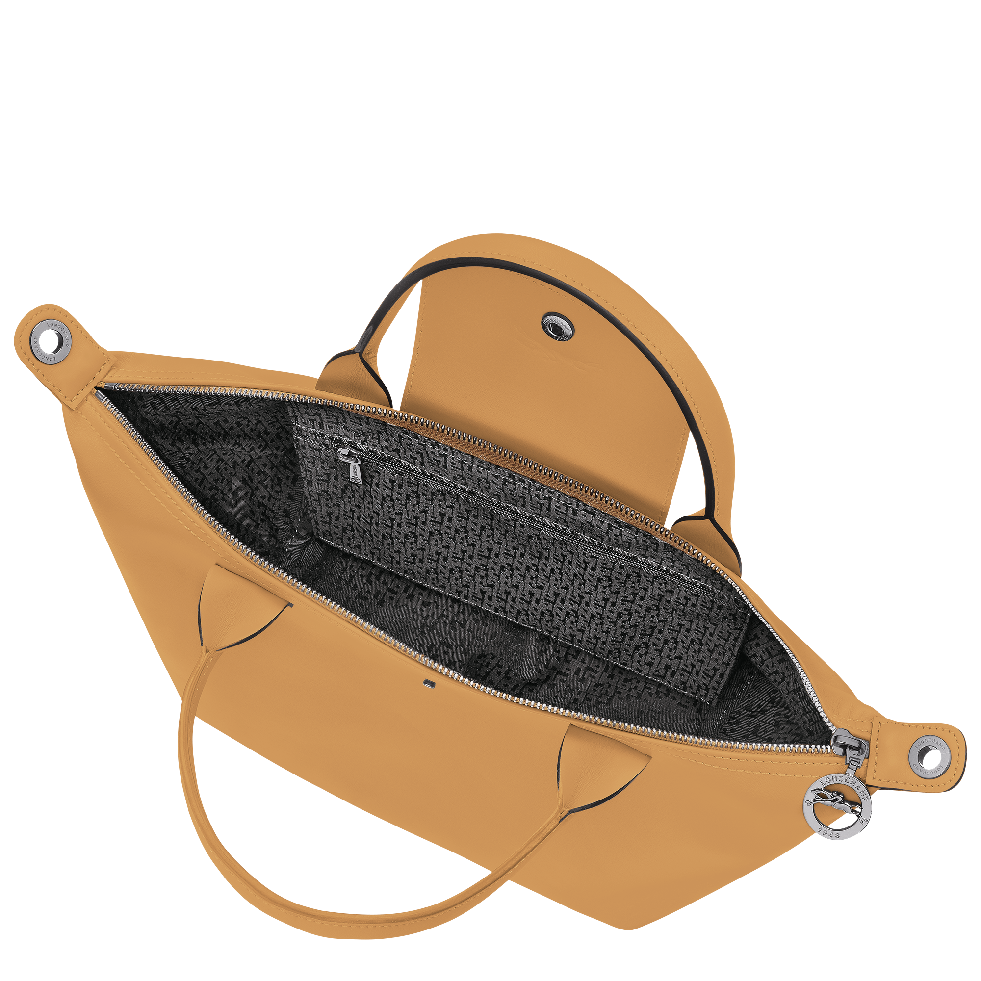Le Pliage Xtra Small Leather Handbag Bal