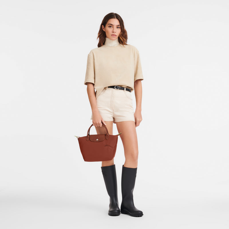 Le Pliage Green Handbag Chestnut