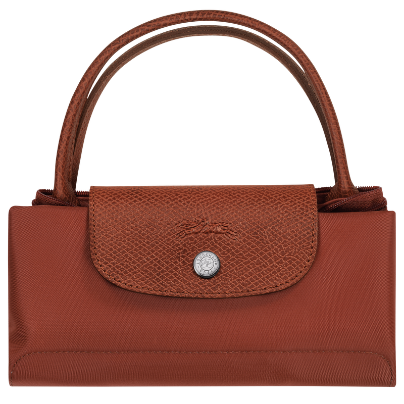 Le Pliage Green Handbag Chestnut