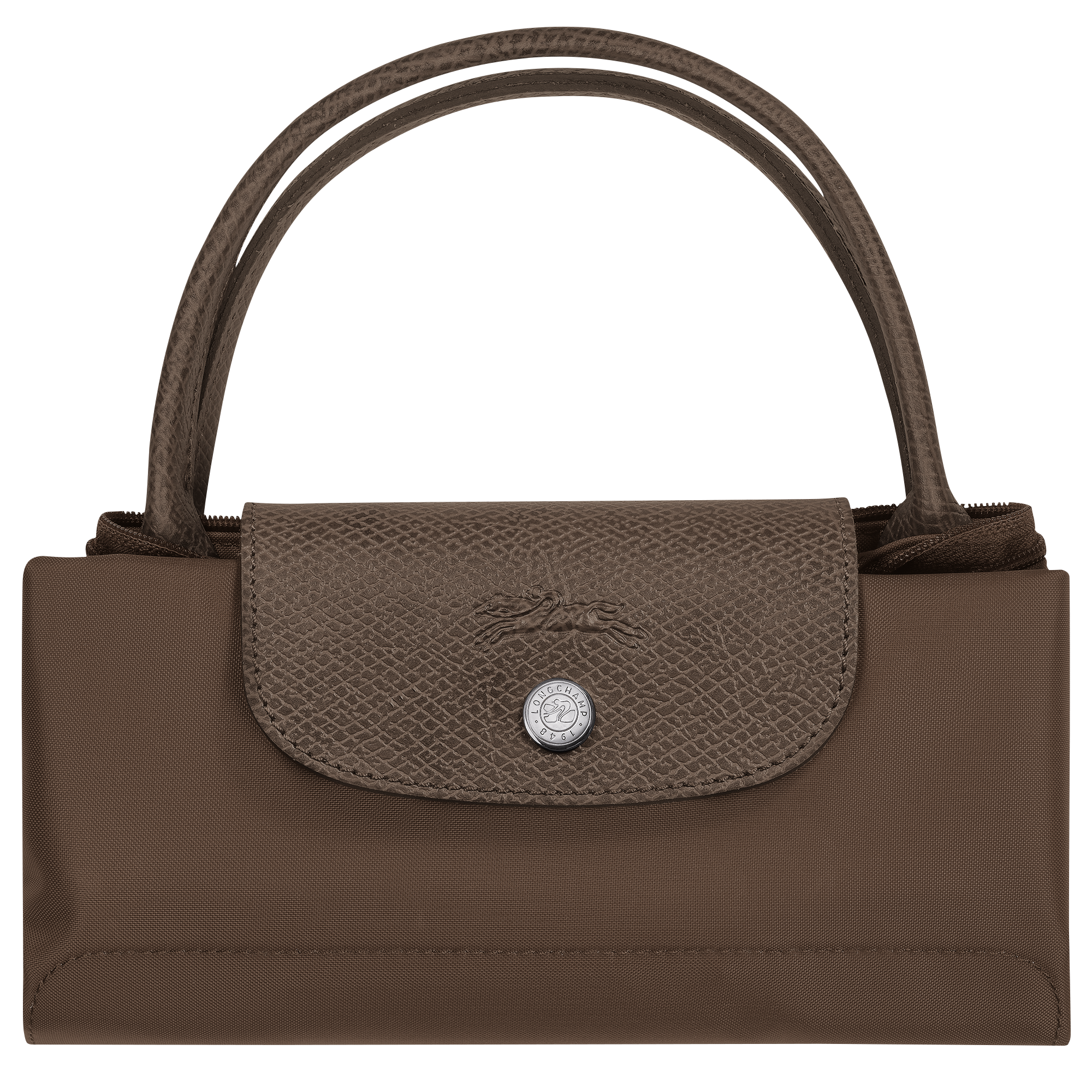 Le Pliage Green Terracotta Handbag